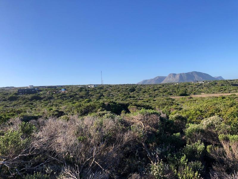 0 Bedroom Property for Sale in Romansbaai Estate Western Cape
